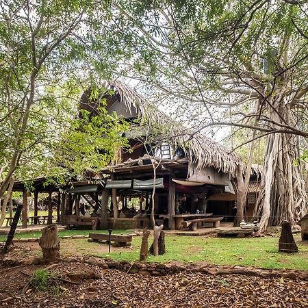 Banyan Camp Vila Hambegamuwa Exterior foto