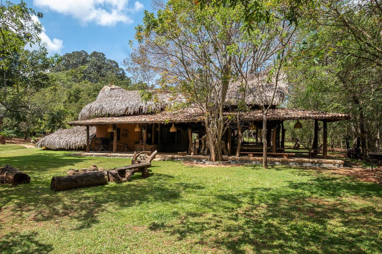 Banyan Camp Vila Hambegamuwa Exterior foto