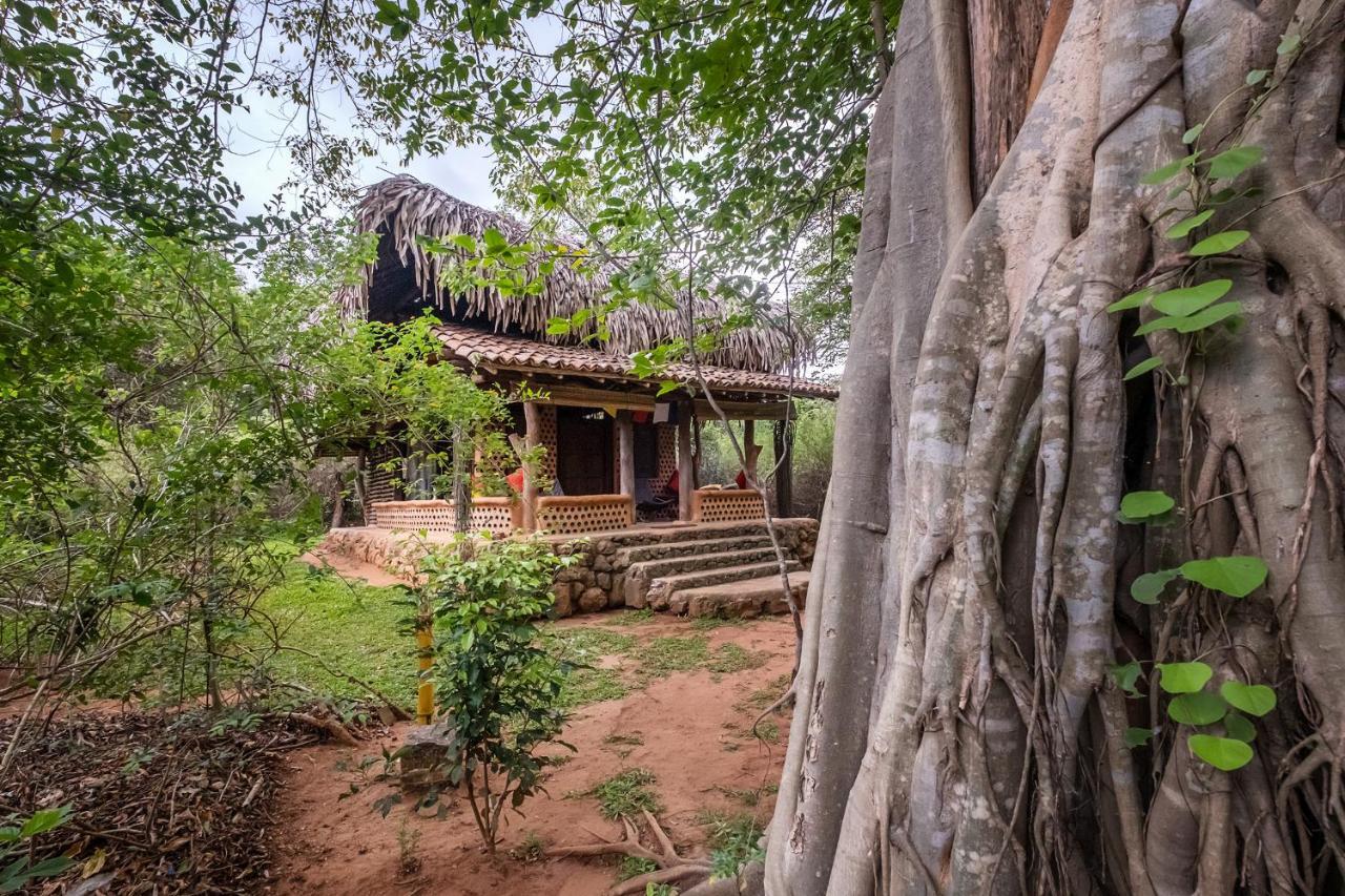 Banyan Camp Vila Hambegamuwa Exterior foto