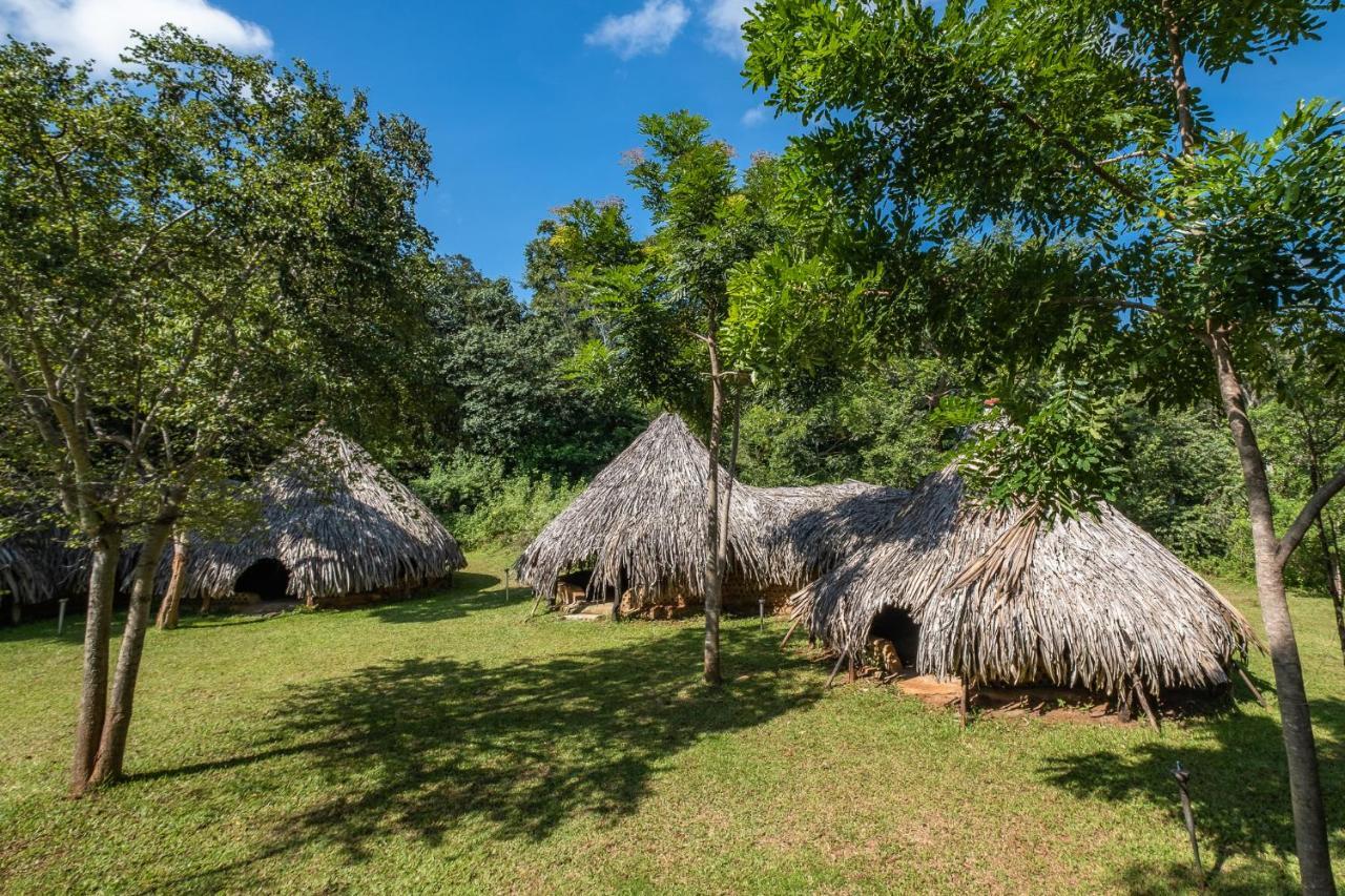 Banyan Camp Vila Hambegamuwa Exterior foto