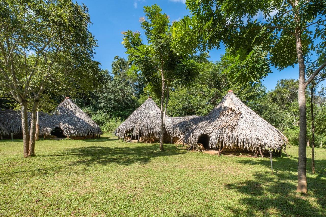 Banyan Camp Vila Hambegamuwa Exterior foto