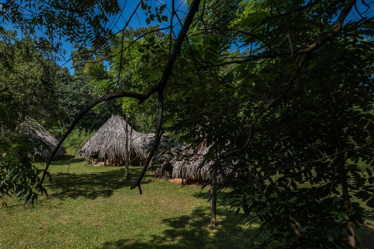 Banyan Camp Vila Hambegamuwa Exterior foto