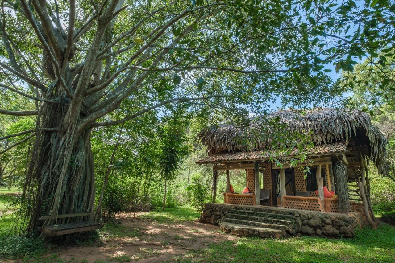 Banyan Camp Vila Hambegamuwa Exterior foto